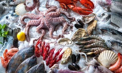 Aquatic products, seafood, livestock food, fresh food, frozen food import, export, wholesale, retail